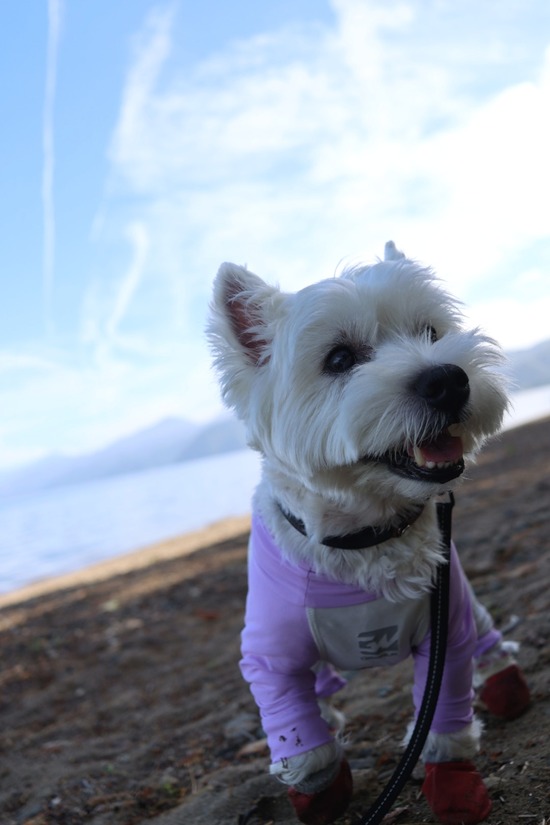 狩りに夢中な夏休みのご報告