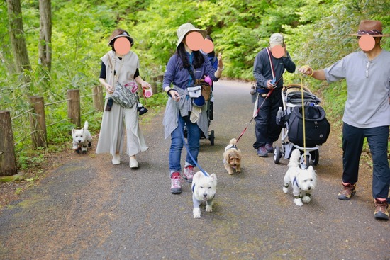 24-05-30-14-06-34-955_deco