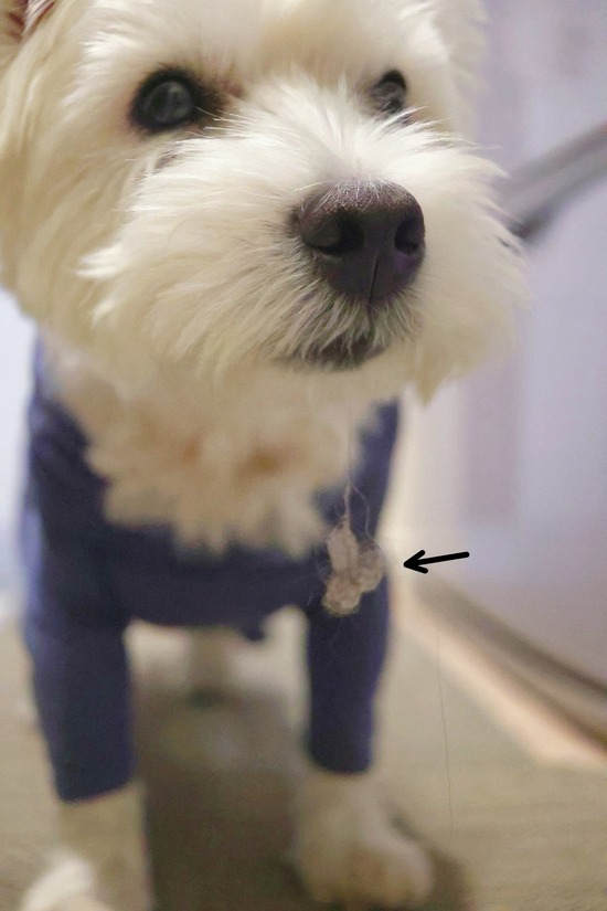 25-11-04-09-40-47-818_deco