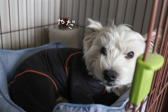 24-12-12-06-59-11-839_deco