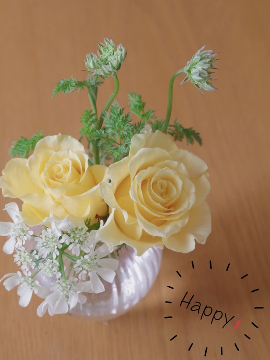 21-04-17-09-27-29-755_deco