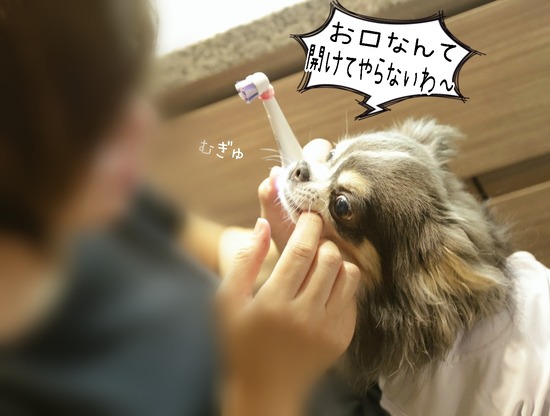 Point Blur_20240820_101901