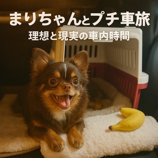 「まりちゃんとプチ車旅。理想と現実の車内時間」