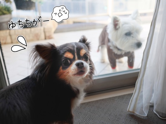 21-12-12-17-41-48-058_deco