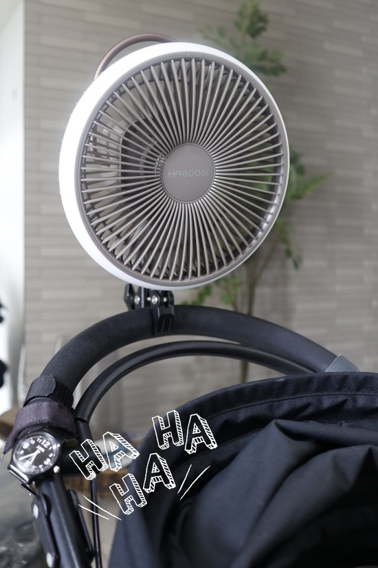 25-04-25-11-46-38-113_deco