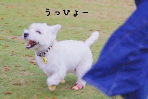 18-09-20-09-41-00-345_deco