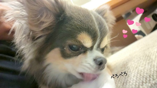 24-08-06-19-19-56-892_deco