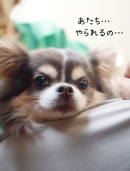 24-07-18-14-15-43-630_deco