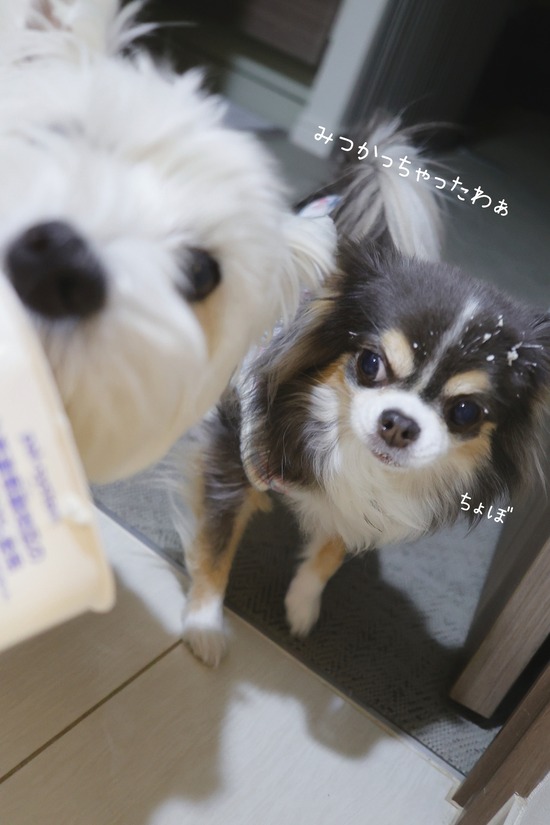 25-12-17-19-04-25-347_deco