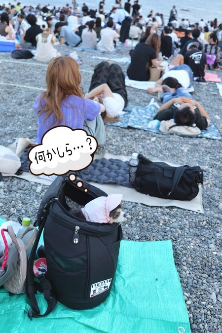 熊野花火大会に行くべきか、行かぬべきか