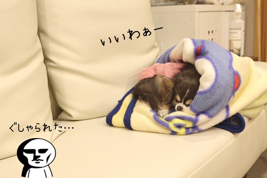 22-03-14-09-13-39-360_deco