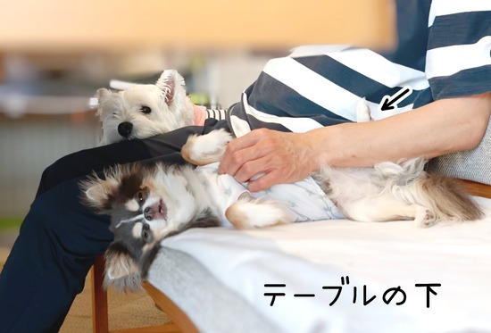 24-07-26-09-38-36-690_deco