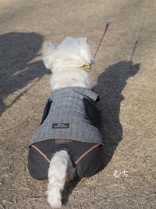 21-03-11-04-30-49-662_deco