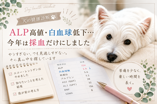 【犬の健康診断】ALP高値・白血球低下。やりすぎない健診を選んだ理由