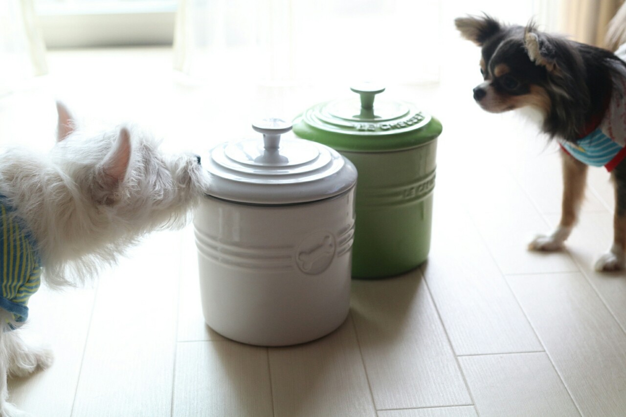 ルクルーゼのペットフードコンテナー たかシェフのおうちごはん と 白い犬 と チワワ Powered By ライブドアブログ ルクルーゼのペットフードコンテナー たかシェフのおうちごはん と 白い犬 と チワワ Powered By ライブドアブログ