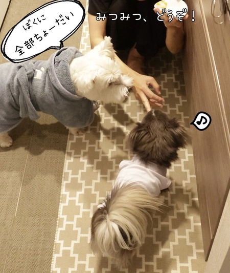 24-08-20-10-56-06-655_deco