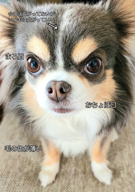 25-10-31-10-03-48-410_deco