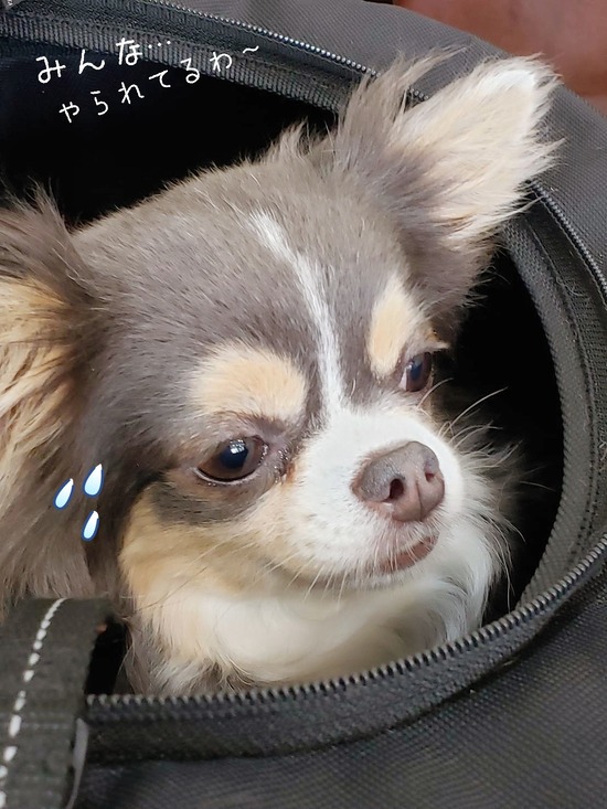 20-06-20-06-38-21-988_deco