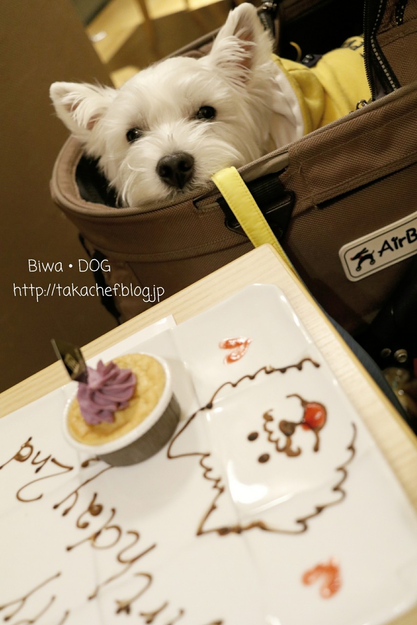 琵琶湖の旅 ビワドッグの感想と ワンコごはん たかシェフのおうちごはん と 白い犬 と チワワ Powered By ライブドアブログ