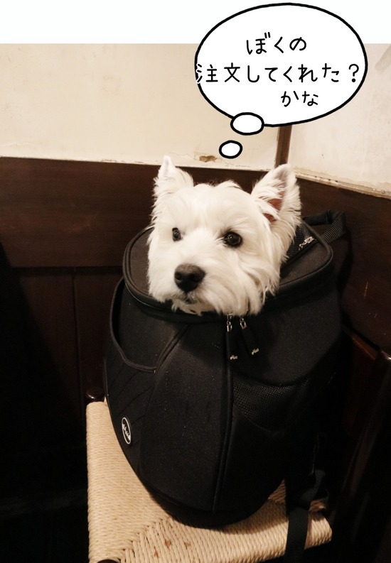 22-04-17-12-51-11-714_deco