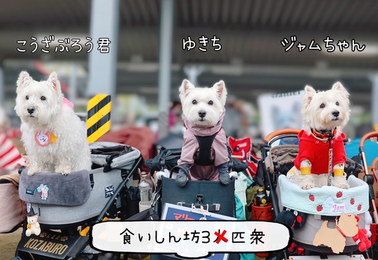 25-10-30-09-32-19-337_deco