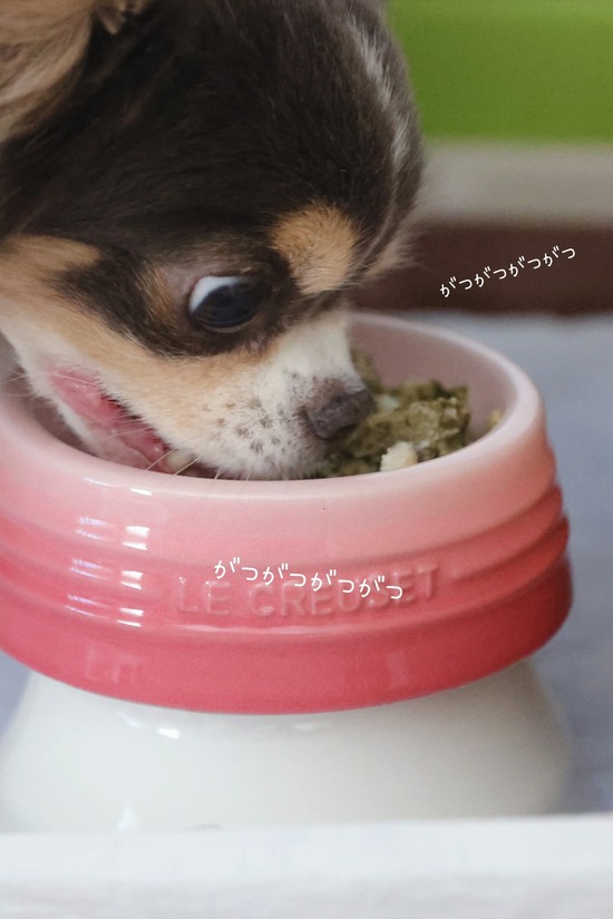 22-06-12-14-29-32-276_deco