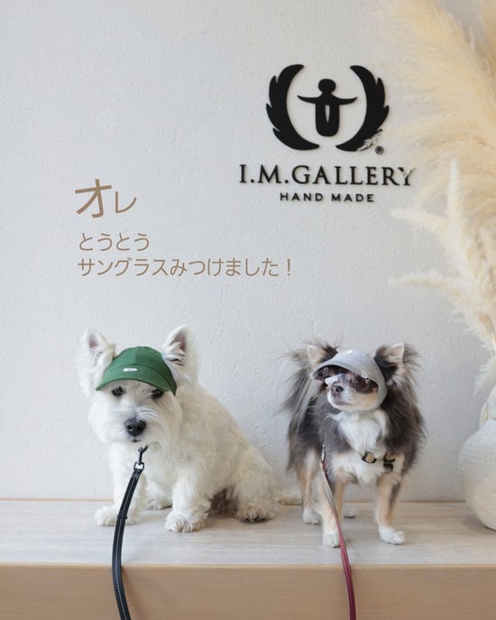 究極の犬用帽子＆サングラス】白内障対策に！脱げない・ズレない「I.M.