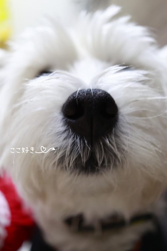 25-12-21-07-17-57-523_deco