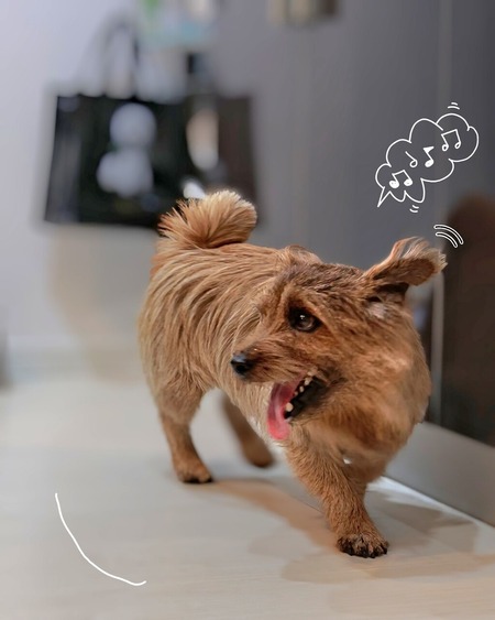 26-01-07-12-00-40-296_deco