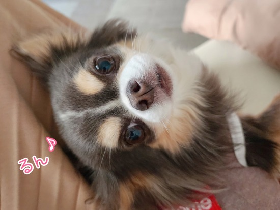 23-05-13-09-38-02-329_deco