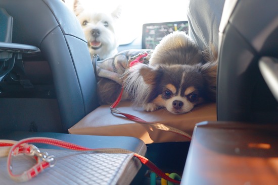 26-01-10-09-36-16-796_deco