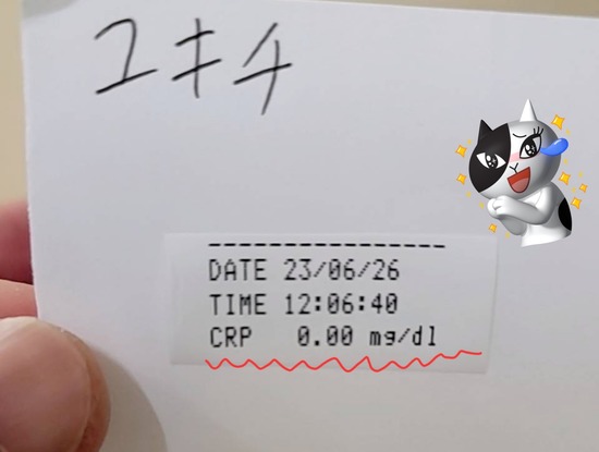 23-06-27-11-28-42-532_deco