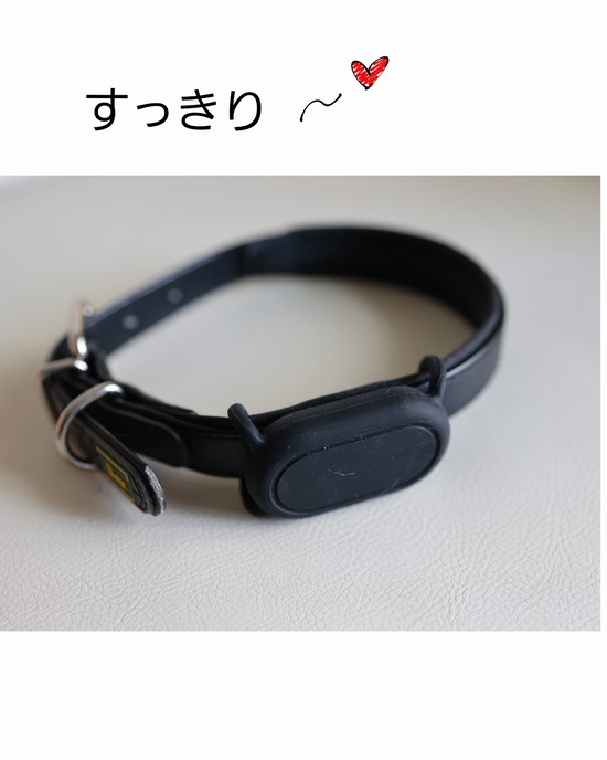 犬の迷子対策としてスマートトラッカーをつけてみた
