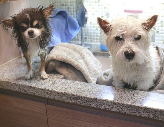 25-12-31-07-17-04-031_deco