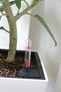 たかシェフのおうちごはん。