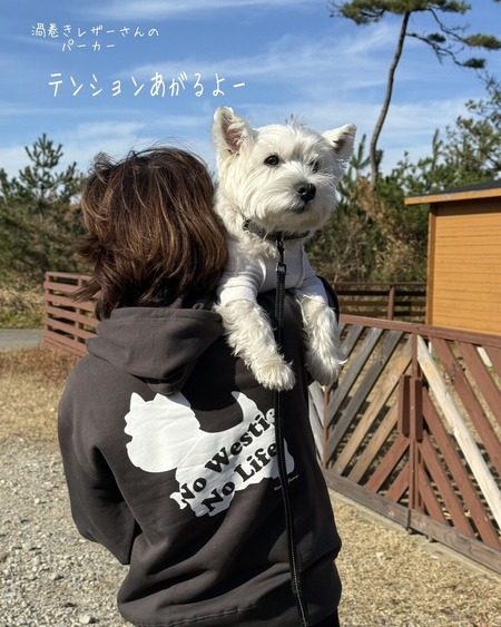 25-11-27-13-35-42-353_deco