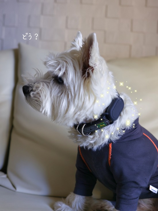 26-02-04-18-30-57-583_deco