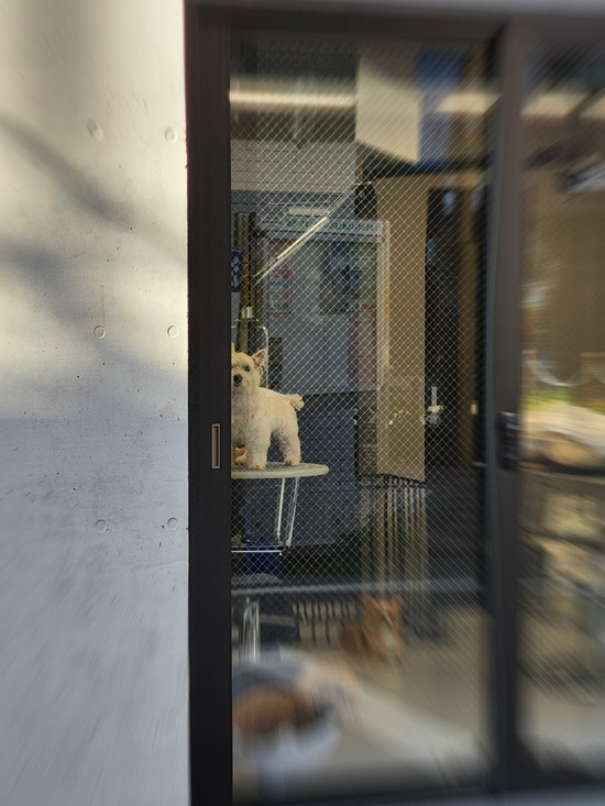 22-07-08-16-48-42-042_deco