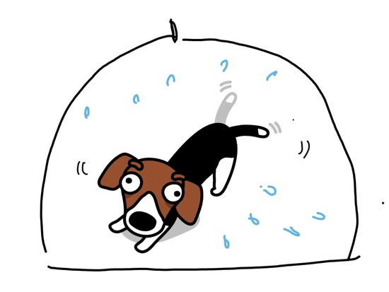 23-02-10-01-09-40-657_deco