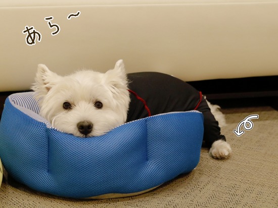 21-10-12-07-26-46-502_deco