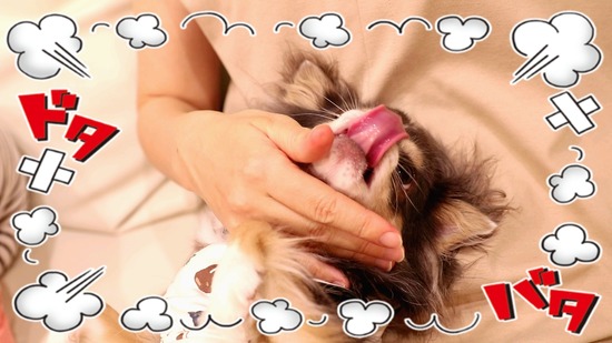 21-09-11-21-16-47-176_deco