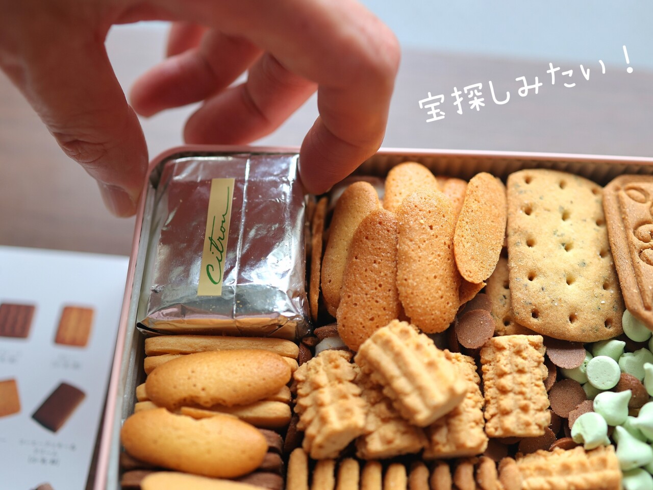 クッキー クッキー缶（蓮） - 8・7bakeshop