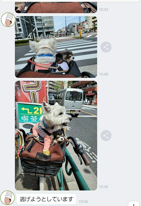 22-04-23-09-32-38-083_deco