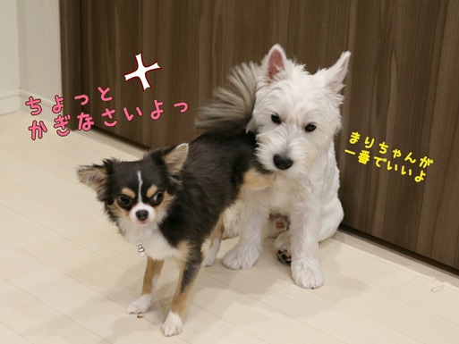 一番になりたい。