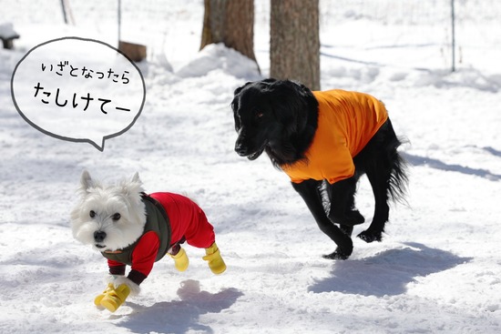 22-03-02-09-36-46-252_deco