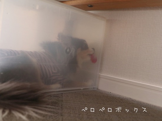 21-03-11-20-35-01-561_deco