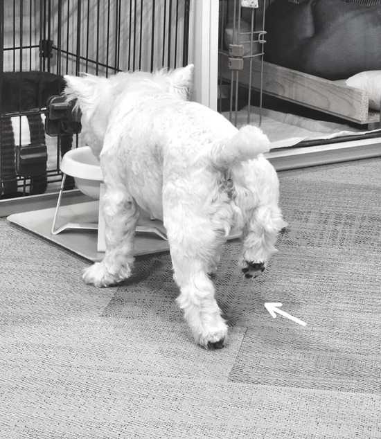 23-05-12-22-44-54-418_deco