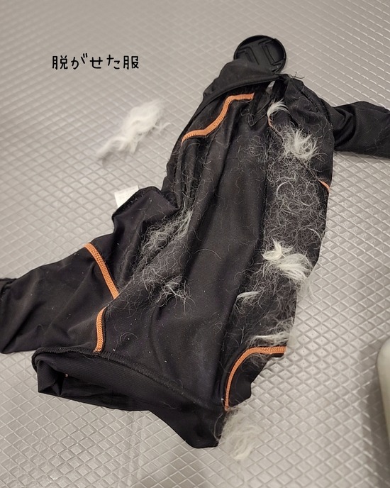 ゆきちの皮膚が、今までにないくらい悪くなりまして　その①