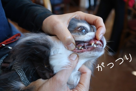 23-12-15-10-35-36-276_deco