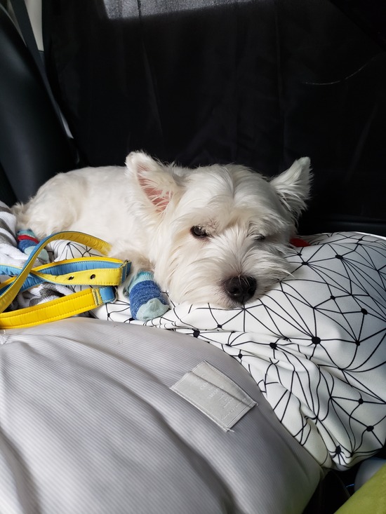 【旅】帰るよ～